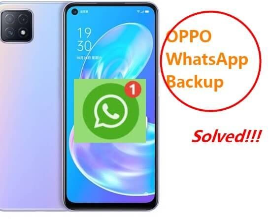 Does WhatsApp work on oppo phone