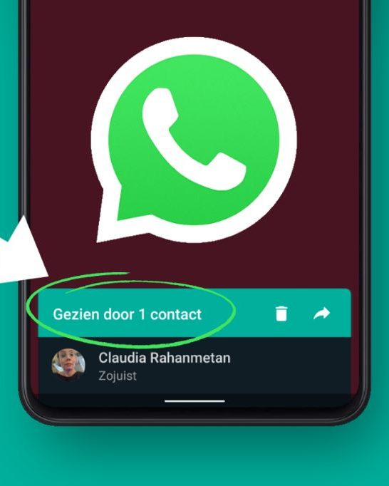 Kan iemand anoniem je status bekijken op WhatsApp