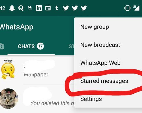 Do starred messages get deleted when you clear chat