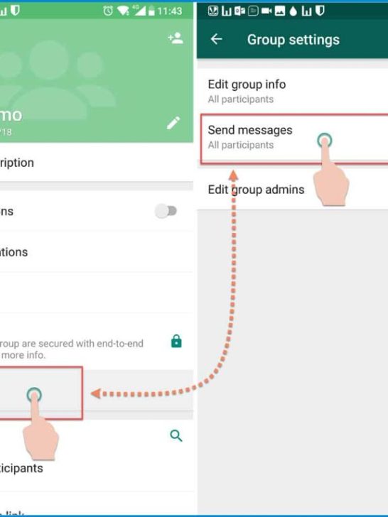 Can only admin see all participants in WhatsApp Business group