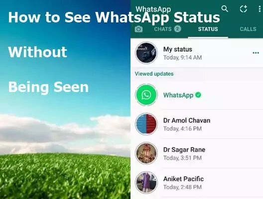 How can I check WhatsApp status without being seen