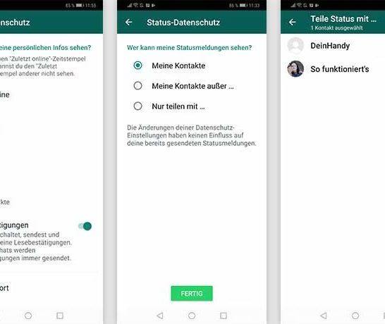 Wie kann man WhatsApp Status unbemerkt anschauen