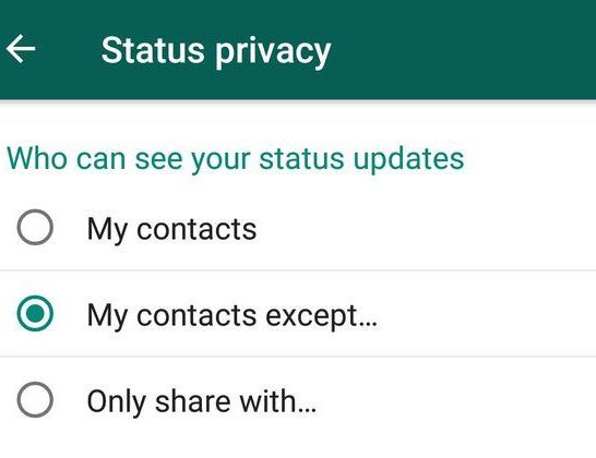 Can a specific person see my WhatsApp status if I put them in my contacts except after I have uploaded the status