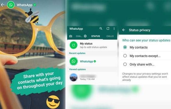 Should you put status on WhatsApp