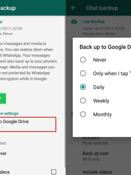 What does WhatsApp chat backup daily mean