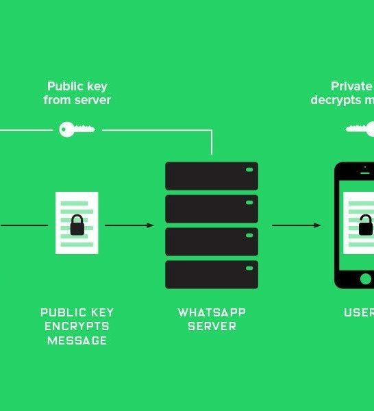 Does WhatsApp have a public API