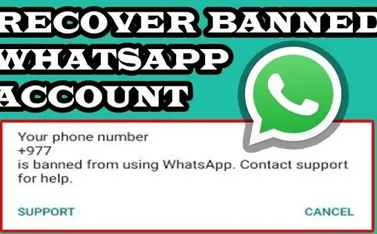 Why is banned from using WhatsApp contact support for help