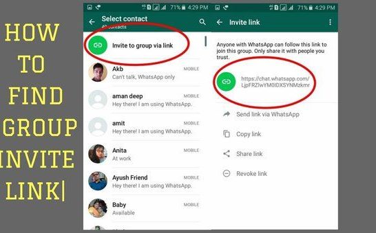 How to add a number in WhatsApp group without adding contact and without link