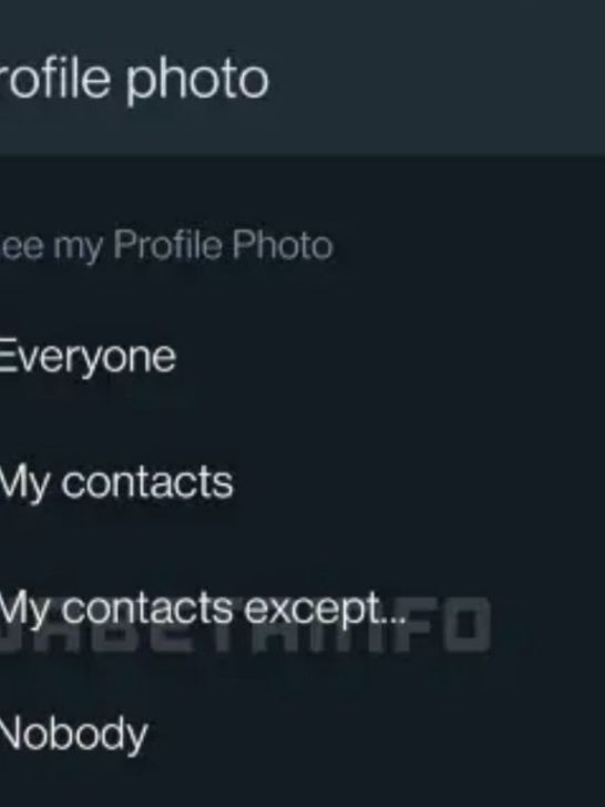 What does my contacts except profile picture mean on WhatsApp