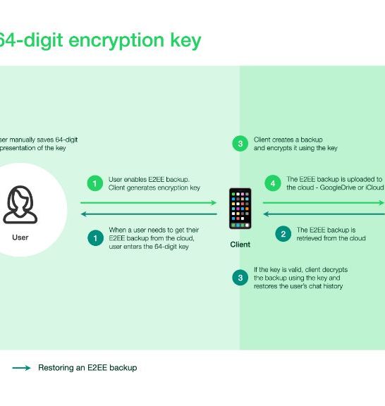 How can I use WhatsApp encryption key