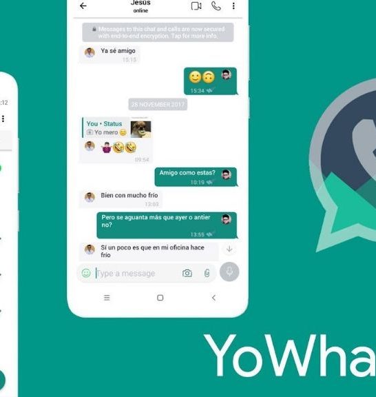 Which WhatsApp mod is best for privacy