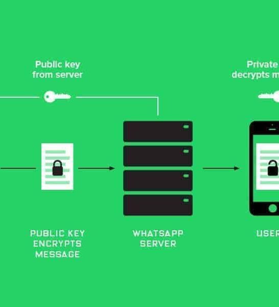 Does WhatsApp Business have API