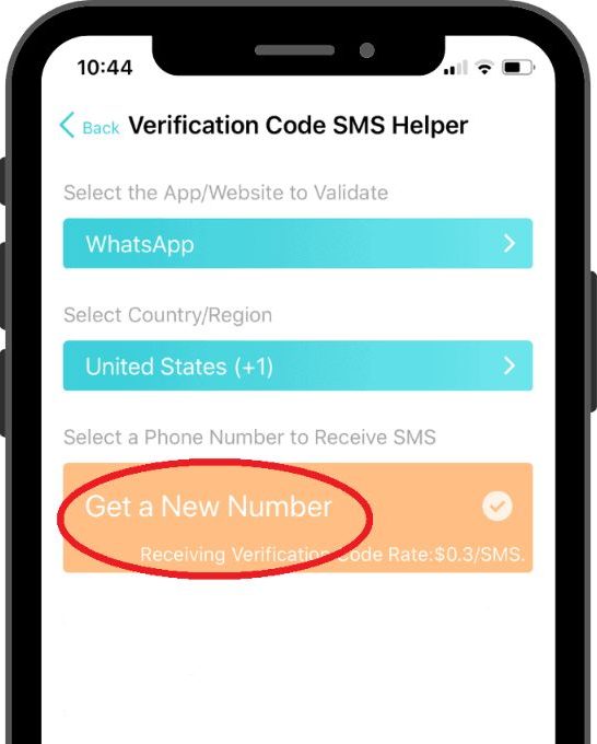 Can WhatsApp receive SMS codes