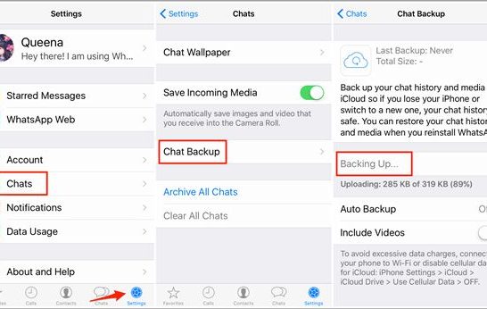 How do I retrieve WhatsApp chat history on Apple