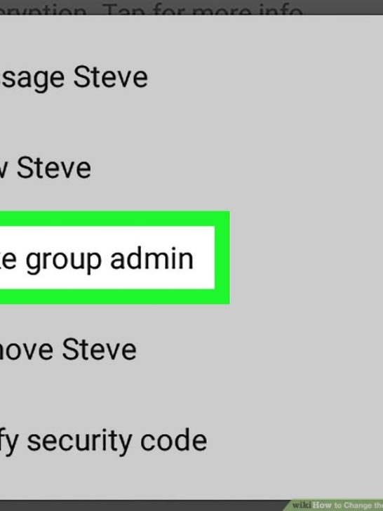 Can you change group admin on WhatsApp