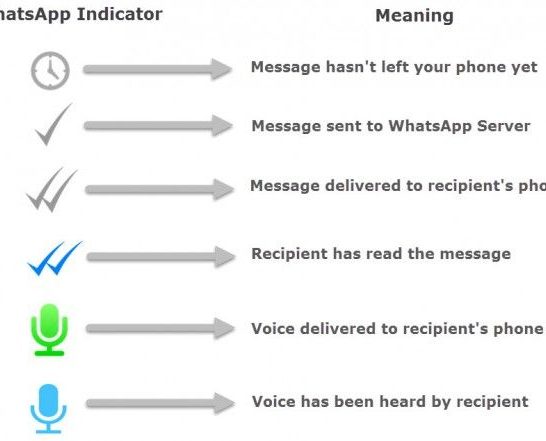 Why is there only one GREY tick on WhatsApp