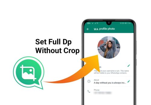 How can I put full DP on Whatsapp?