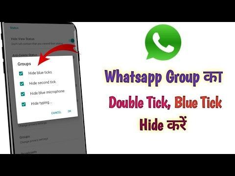 Can we hide double tick in WhatsApp