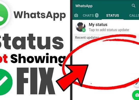 What does my contacts except mean on WhatsApp status