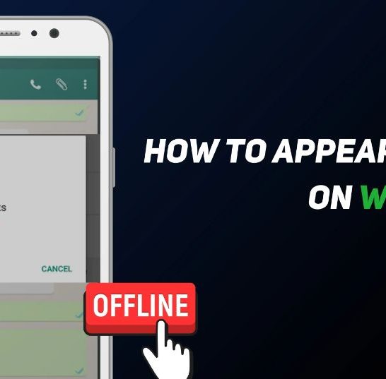 How do I not show online on WhatsApp during a call