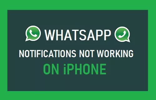 Why is there no WhatsApp notification on my iPhone