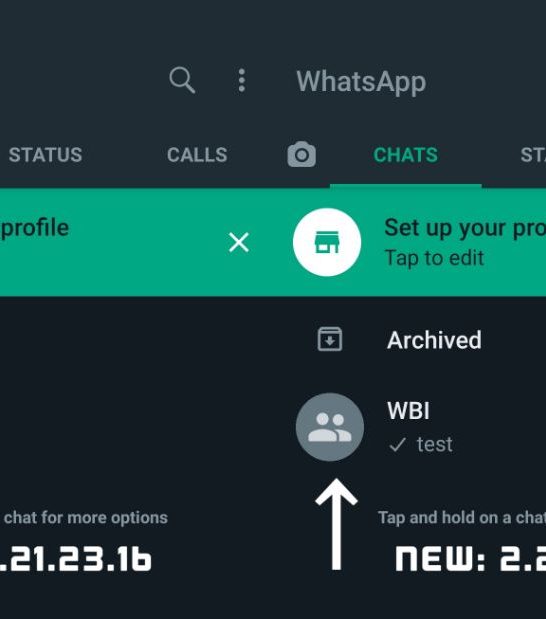 How can I change my WhatsApp to WhatsApp beta