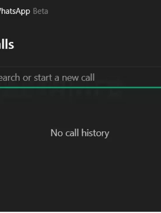 Can I see call details on WhatsApp Web