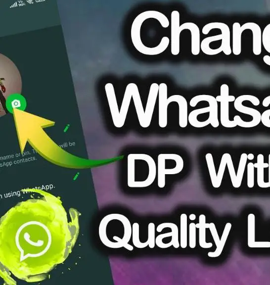 How can I use WhatsApp profile without losing quality