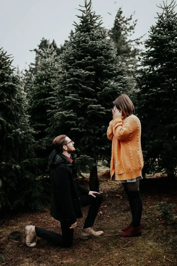 PROPOSAL IN THE PINE...