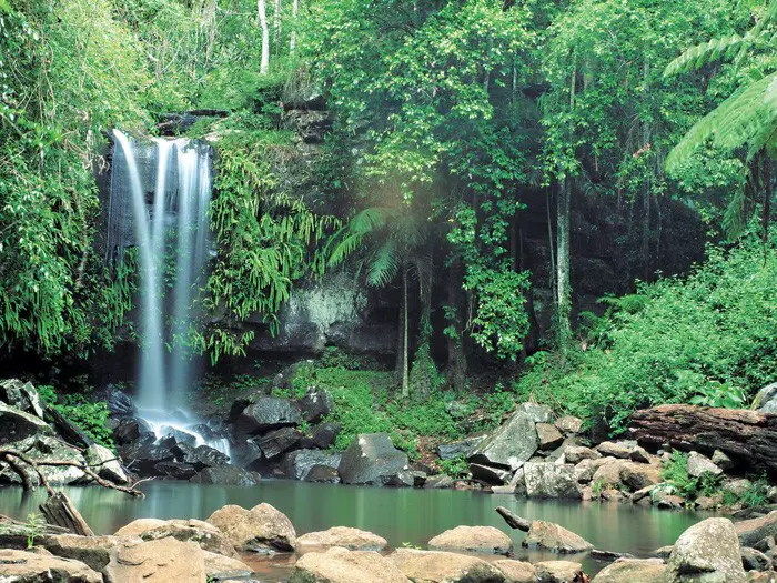 Tamborine Mountain...