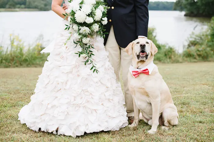 Ridiculously Cute Ring-bearers...