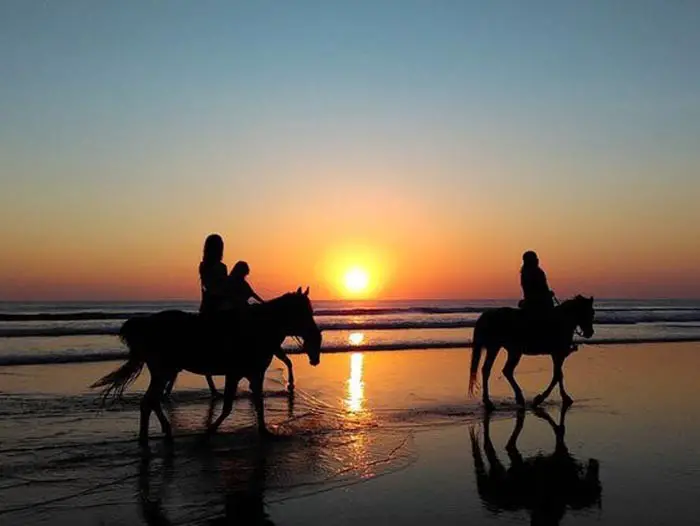 Romantic Horse-Riding...