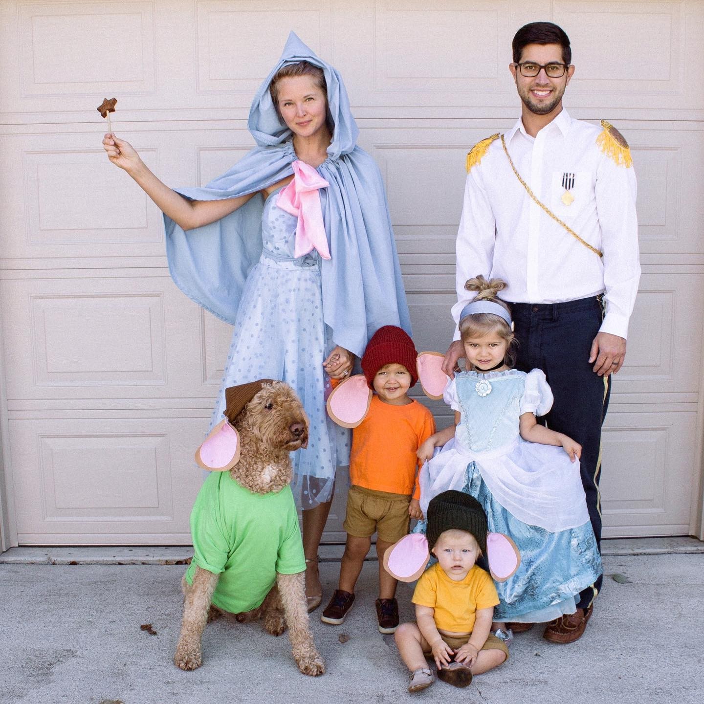 Cinderella Family Halloween Costume Ideas