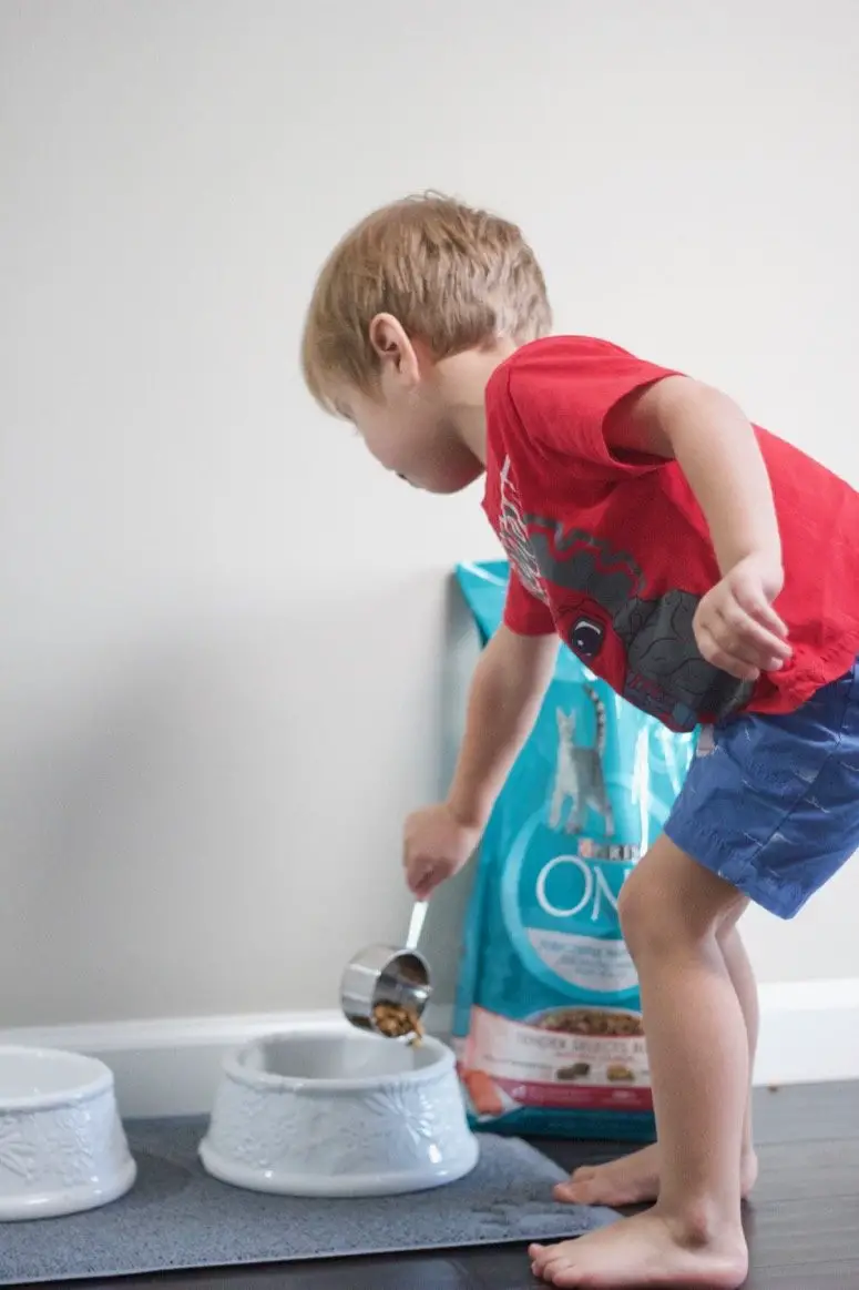 Give Your Toddler Pet Chores