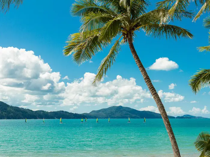 Hamilton Island...