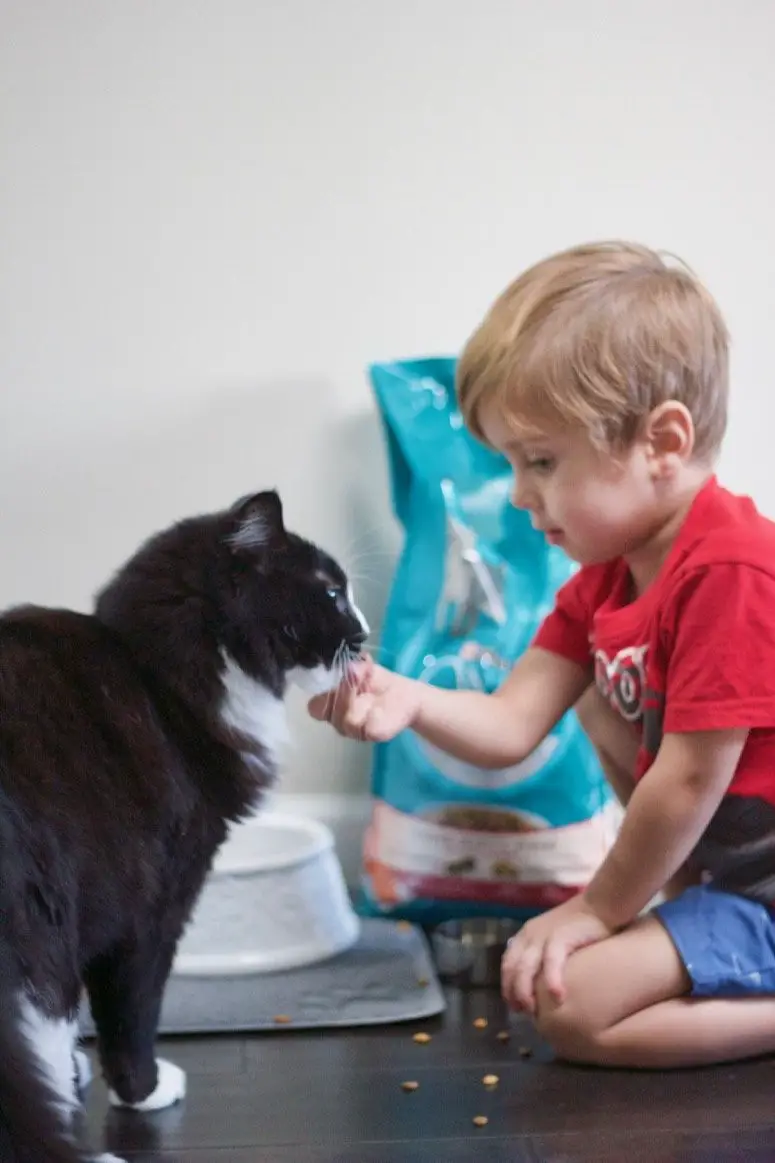 Do Snack Time Together