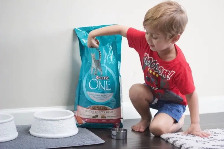 Give Your Toddler Pet Chores