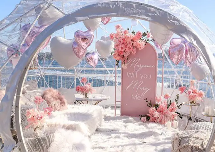 Proposal Wonderland...